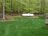 Lawn Installation and Renovation
